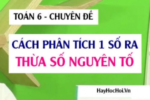 Cách phân tích 1 số ra thừa số Nguyên tố và các dạng Bài tập Toán 6 (cực nhanh)